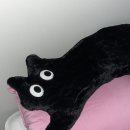 백칠오 이미지