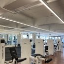 팀원짐 당동점 이미지