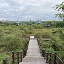 대곡농로 이미지