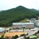 삼향중앙로 이미지