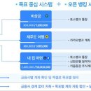 까미노 이미지