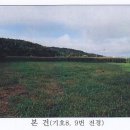 영단천 네이버블로그