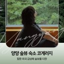 스테이자동차정비 | 양양 숲뷰 숙소 코게러지 I 외국 감성 힙한 스테이 내돈내산 후기