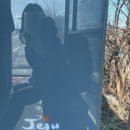 콜펜션 | 팜파스펜션 PAMPAS 제주 조천읍에 위치한 설악산 등반하기 좋은 펜션 내돈내산 솔직한 후기