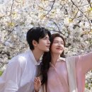 애니 - 남양주시 늘을2로14번길 3 | 애니