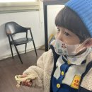 [화성]곤충 동물 다양한 생명체를 만나고싶다면? 센트럴곤충생태농장