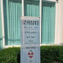 로희뷰티 | 자연스럽게 서산속눈썹연장 잘하는곳 로희뷰티 솔직후기