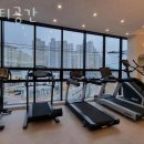 피티(PT) 공간 이미지