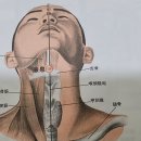 푸른나무한의원 이미지