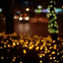 숲속체험마을협동조합 이미지