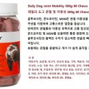 데일리도그(DAILY DOG) 네이버블로그