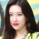 선미통돼지시지 이미지