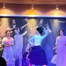 플라멩코 델 솔