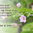 꽃3/오늘의 약속/나태주 시화 이미지