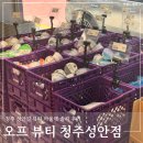 제일유통 | 청주 성안길 오프뷰티 방문 내돈내산 솔직 후기 및 아쉬운 점