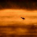 호텔힐링 이미지