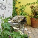 단팥하우스 이미지