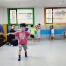 염창 나토얀 태권도 이미지