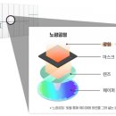 국제네온