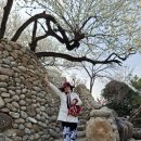 광양이야기 이미지