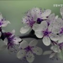 상봉요양원요양센터 이미지