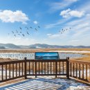 정양늪생명길 | 생명이 자라는 겨울 습지, 천연기념물까지 보이는 산책 명소 합천 정양늪