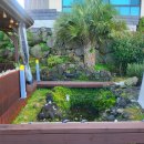 별 헤는 밤 200 이미지