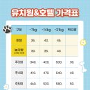 숲속댕토리애견유치원 이미지