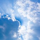 진흥태양광발전소 이미지