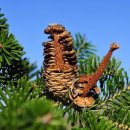 나무랑 풀이랑 이미지