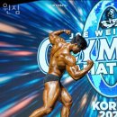 윈짐 이미지