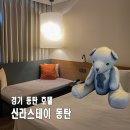 베어포레스트 스테이 | 신라스테이 동탄 호텔 추천 주차 주말 디럭스 더블 시티뷰 헬스장
