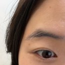모이라헤어 | 인계동눈썹 브로우샵 왁싱샵 추천 수원 호지스타일 헤어라인 , 눈썹왁싱 후기