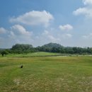 뉴 프로 당구장 이미지