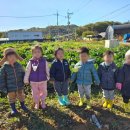 예일농장 이미지