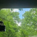 잔디게임방 이미지