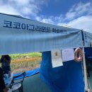 읍면 평생학습 프로그램프랑스자수 | 코코아그라운드 은평구 평생학습관 축제 공감한데이 부스 운영 후기