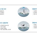하이무인 이미지