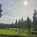 병원동행 매니저 1급 자격과정 이미지