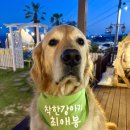 해뜨는바다하우스 | 포항 구룡포 오션뷰 펜션 후기｜성인 4명이 머문 풀하우스펜션 똥광 객실