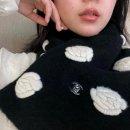 까멜리아 이미지