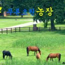 전희선농장 Daum카페