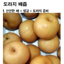 신산건강원