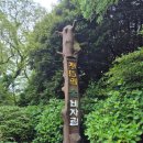 제주이야기비자림점 | 제주 비자림 후기, 제주도에서 가장 기억에 남았던 숲길 여행