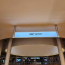 센텀영수학원 | [봇치더락] 극장총집편 봇치 더 록 전편(자막, 굿지 상영회) 관람 후기! /센첨 CGV /독고다이