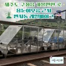 4639 | 구좌읍 용눈이 오름 근처 가볼만한 곳 '제주 레일 바이크' 할인 정보 내돈내산 탑승 후기