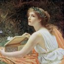 판도라의 숲 이미지