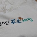 비취 블루베리 이미지