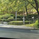 서울 강동그린웨이 가족캠핑장 예약팁 | 청단풍, 마로니에, 자작나무, 이팝나무, 매화나무 전사이트 후기