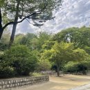 하나종묘 | 서울 데이트 코스 추천ㅣ종묘 방문 후기(관람 가능 시간/힐링 산책 코스)